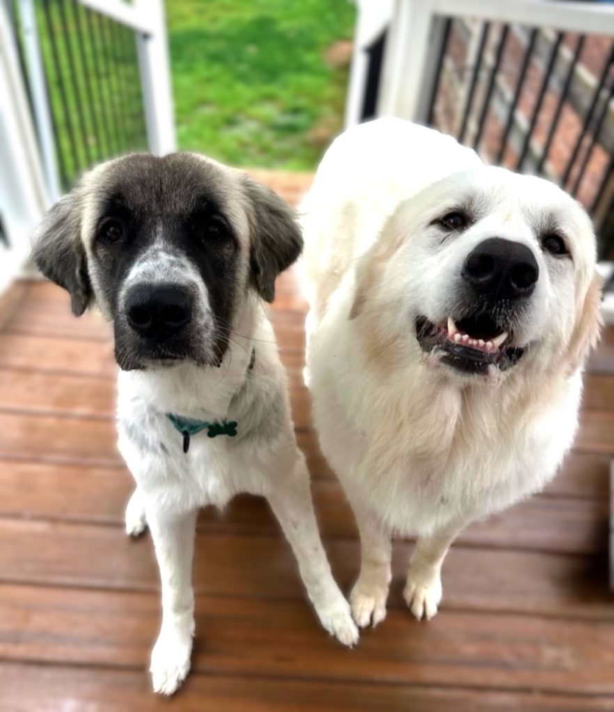 Howl & Sophie Castle